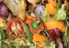 Giornata internazionale sulle perdite e gli sprechi alimentari