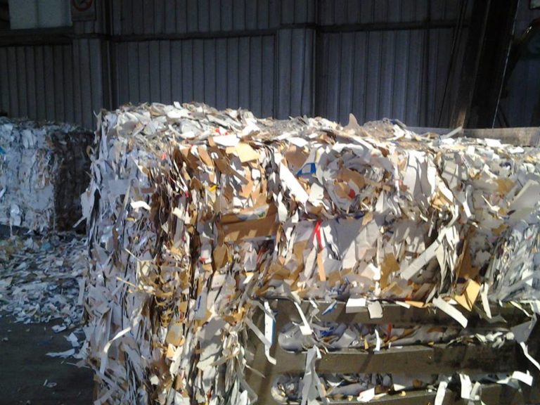 Carta e cartone: il settore del riciclo chiede più impianti e meno burocrazia