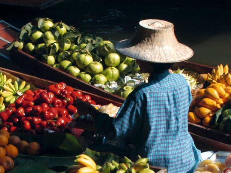Cibo e clima, la trasformazione dei sistemi alimentari può ridurre del 20% le emissioni globali