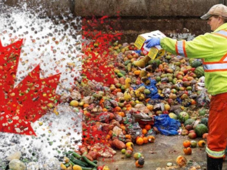 Food Waste Reduction Challenge, l’approccio canadese allo spreco di cibo per trasformare il rifiuto in impulso per l’economia