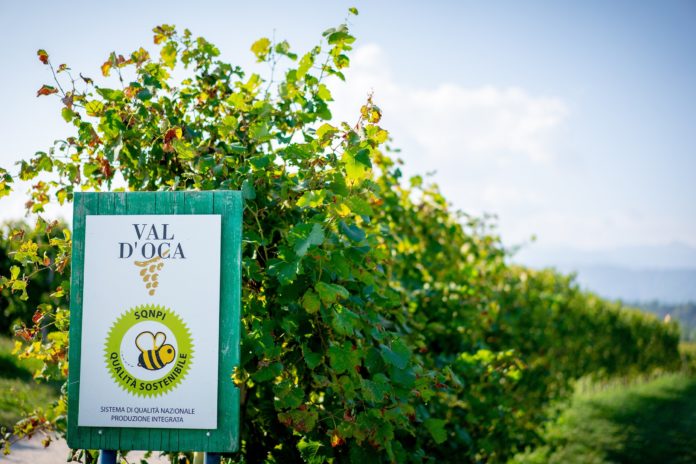 Cantina Produttori Valdobbiadene