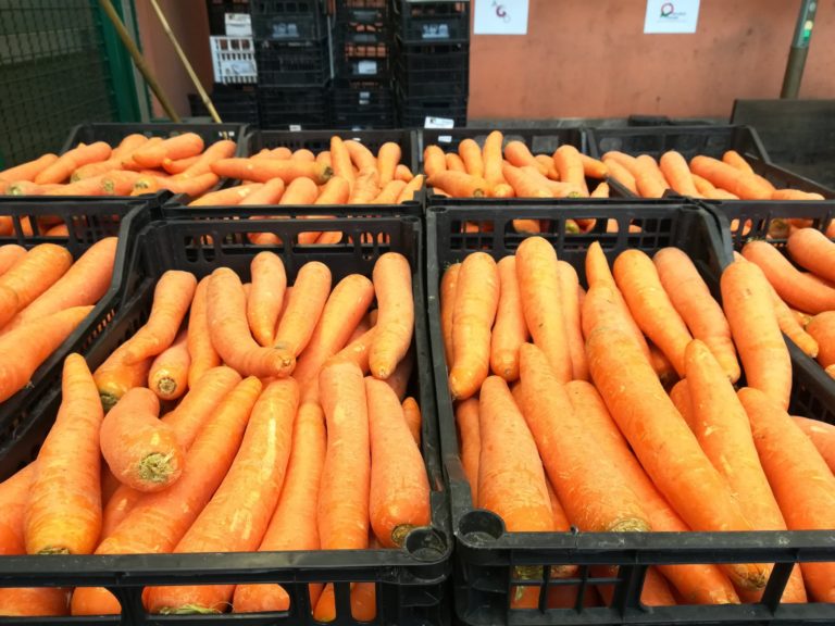 Milano, gli hub di quartiere contro lo spreco alimentare hanno vinto l’Earthshot prize del Principe William