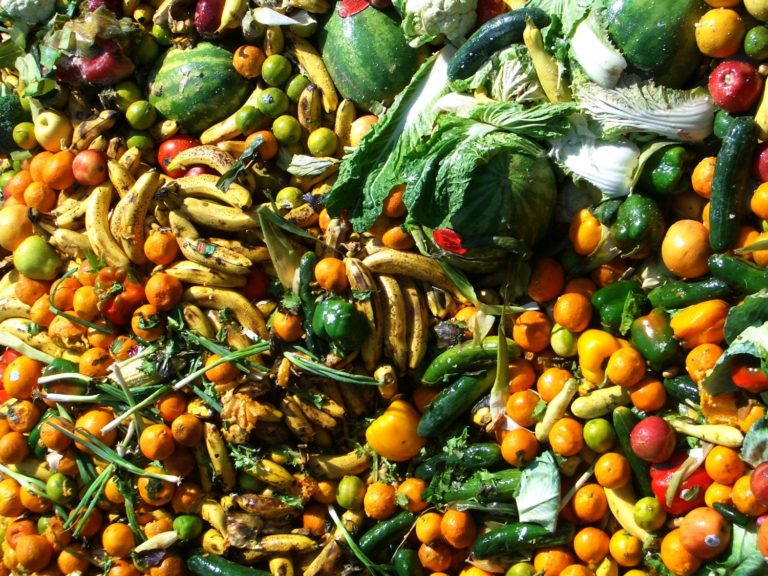 Programma LIFE: dalla Commissione Ue oltre 290 milioni di euro per progetti relativi a natura, ambiente e clima