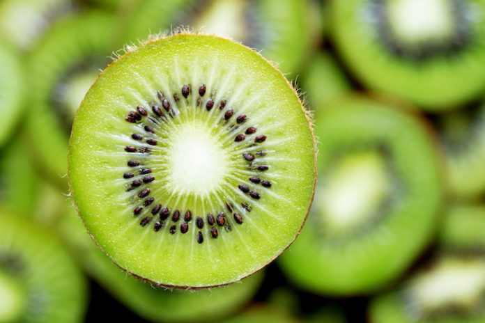 kiwi