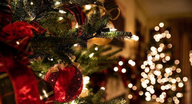 Il Decalbero del WWF: 10 spunti green per un Natale amico del pianeta