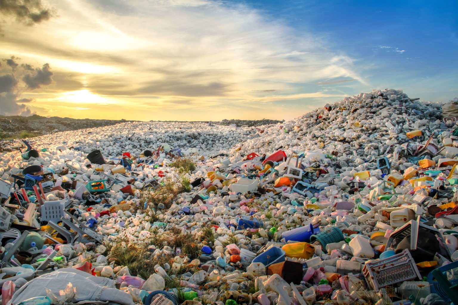 Allarme Plastica WWF L inquinamento Degli Oceani Sar 4 Volte 