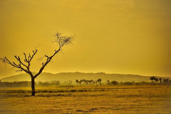 Maggio 2022 il quinto più caldo