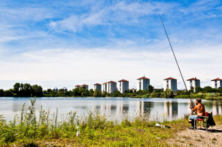 Beeflower: api, agricoltura urbana, rigenerazione ambientale e sociale. Falchera protagonista della transizione ecologica
