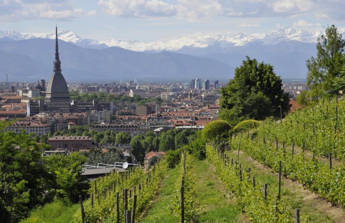 Torino Dirigenti tecnico ambientali