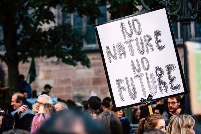 COP27, le richieste e le aspettative del WWF