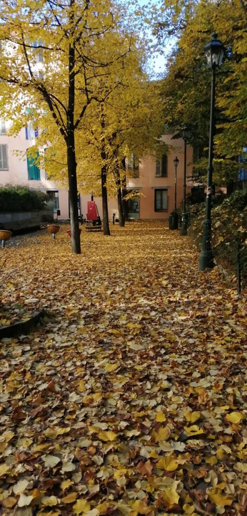 Torino Bellezia