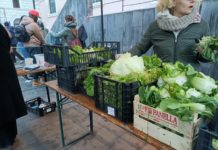 Giornata spreco alimentare, Refoodgees da Roma: “Tutti i mercati dovrebbero recuperare l’invenduto” refoodgees roma