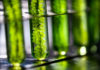 biofuels e-fuels