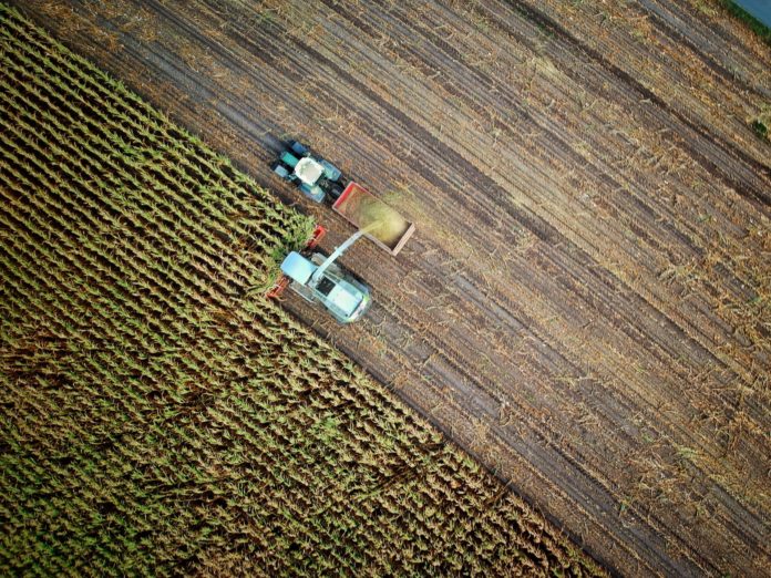 bioplastiche agricoltura circolare