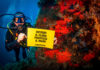 indagine Greenpeace