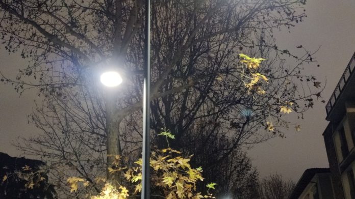 Illuminazione LED su alberi