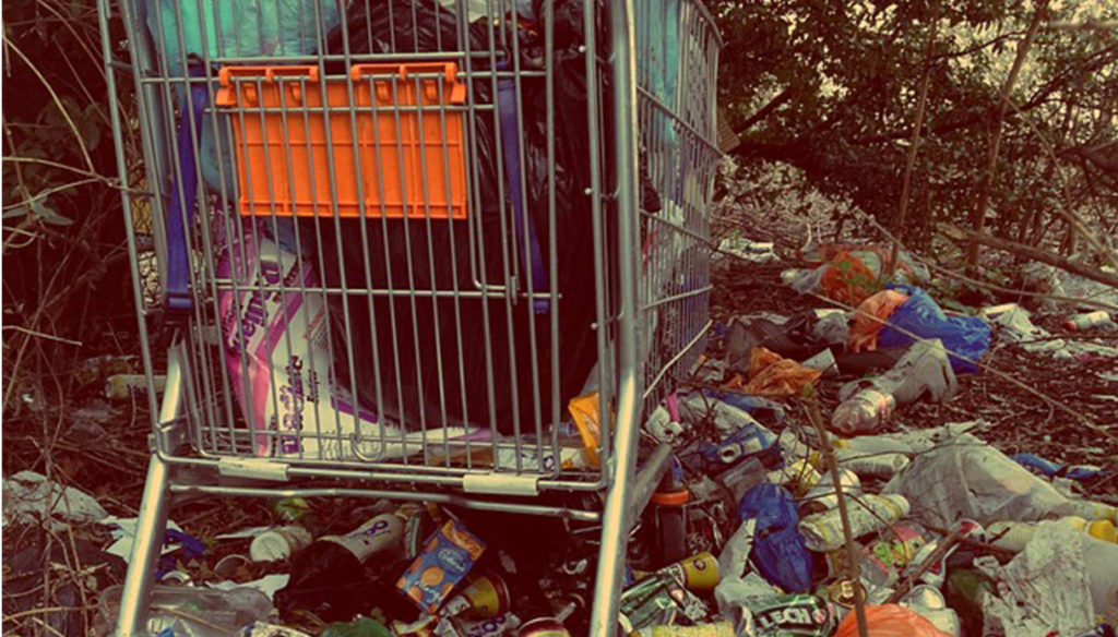 Using Ecomafia Legambiente, Ecomafia 2023: i dati sui reati ambientali in Italia