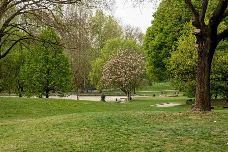 Gestione del verde urbano di Torino, lettera aperta degli ambientalisti sulla faccenda “erba alta”