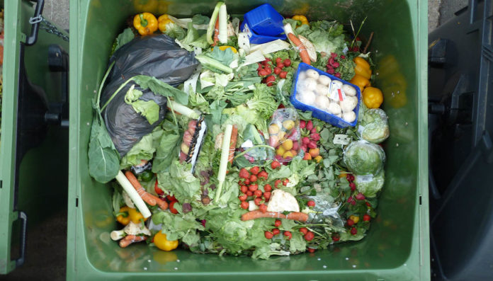 Il 29 settembre si celebra la Giornata internazionale della consapevolezza delle perdite e degli sprechi alimentari