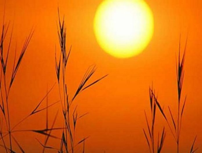 Clima e ondate di calore, al via la Campagna nazionale "Che caldo fa!" di Legambiente