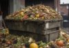 Eccedenze alimentari