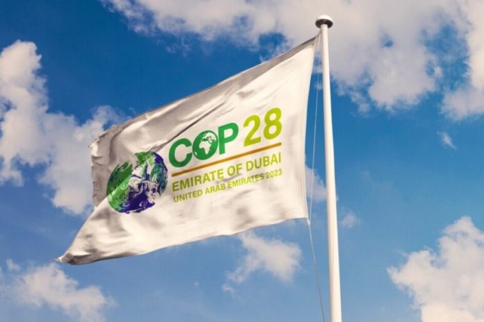COP28, Italia 
