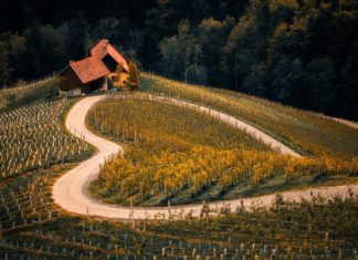 Slow Food sovranità agroalimentare