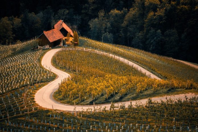 Slow Food sovranità agroalimentare Consumo di suolo SNPA