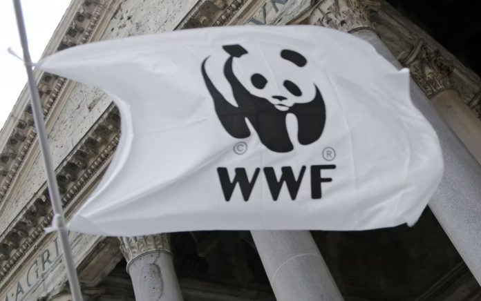 COP28 WWF