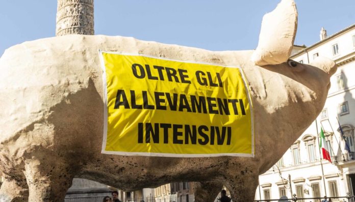 Zootecnia e lobbying, l’analisi di Greenpeace e Openpolis