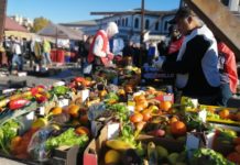 Spreco alimentare. Tra Torino e Milano recuperate più di 350 tonnellate con i progetti di Eco dalle Città