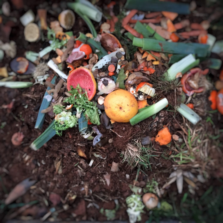 Direttiva Ue sprechi alimentari e rifiuti tessili, Zero Waste: “Pochi miglioramenti”
