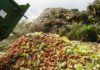 norme Ue sprechi alimentari rifiuti tessili