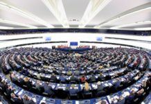 Elezioni europee: programmi dei partiti italiani a confronto su clima e natura, le pagelle del Wwf Elezioni europee Wwf