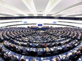 Elezioni europee: programmi dei partiti italiani a confronto su clima e natura, le pagelle del Wwf Elezioni europee Wwf
