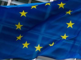 Elezioni europee, appello ambientalista: “Un voto chiave per il clima e la giustizia sociale”