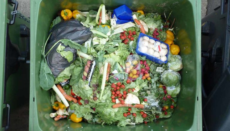Zero Waste Europe Direttiva quadro rifiuti