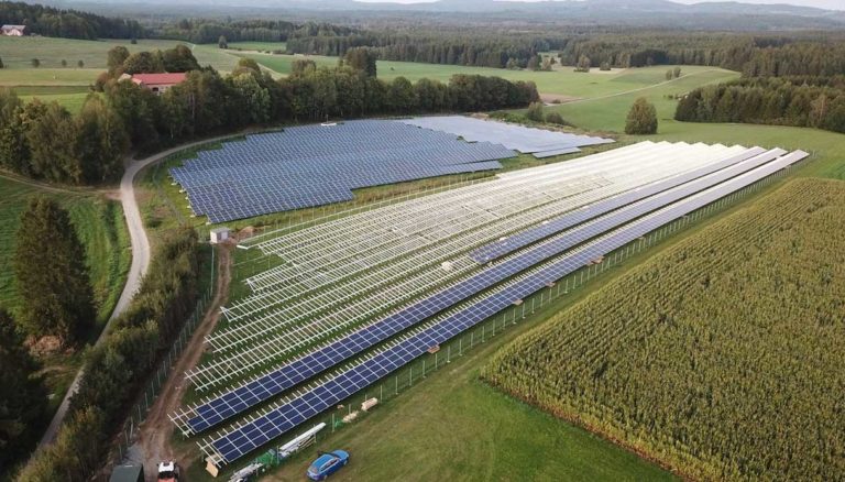 fotovoltaico terra Coordinamento FREE