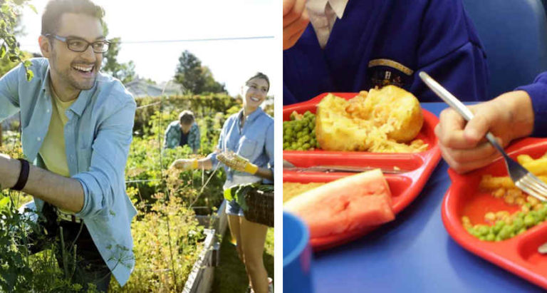 A Torino dal 17 settembre tornano i “Martedì del cibo”