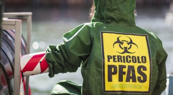 Pfas nel cibo, per Greenpeace i controlli sono scarsi Pfas nel cibo