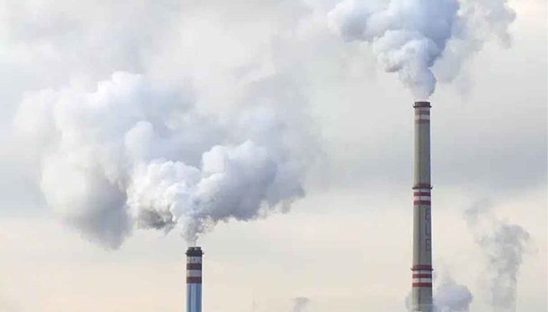 WWF: il 2025 è l’anno nero dell’Europa che smantella il Green Deal