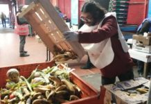 Spreco alimentare: una passeggiata all’Hub Foody Zero Sprechi di Milano