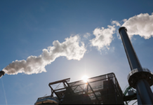 Inceneritori, 156 organizzazioni chiedono una moratoria UE: “Bruciare allontana gli obiettivi climatici” Inceneritori, 156 organizzazioni chiedono una moratoria UE: "Bruciare allontana gli obiettivi climatici"