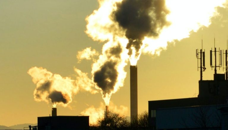 Moratoria inceneritori, Janek Vähk di ZWE: “è necessaria per non bloccare l’economia circolare”