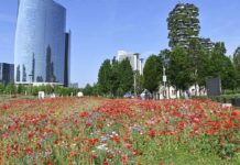 Milano, Ztl Isola al via dal 20 aprile: due mesi senza sanzioni Milano riforma Commissione Paesaggio Milano Piano Verde Paesaggio Milano Ztl Isola 20 aprile 2026