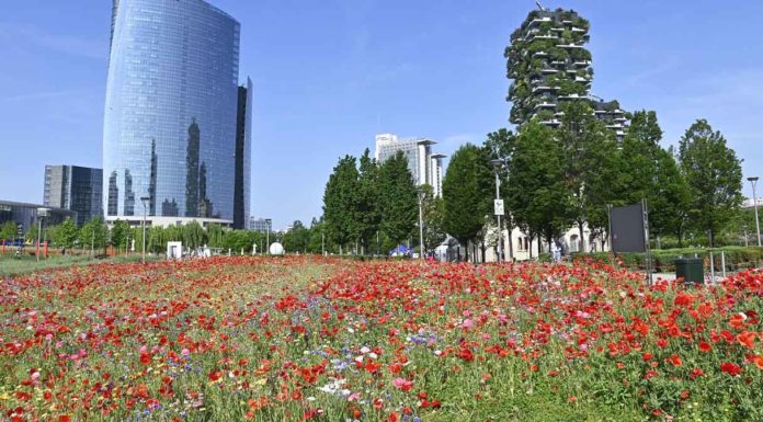 Milano, Ztl Isola al via dal 20 aprile: due mesi senza sanzioni Milano riforma Commissione Paesaggio Milano Piano Verde Paesaggio Milano Ztl Isola 20 aprile 2026