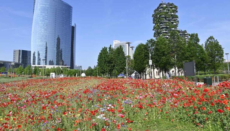 Milano riforma Commissione Paesaggio Milano Piano Verde Paesaggio Milano Ztl Isola 20 aprile 2026