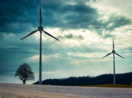 Nel 2024 oltre la metà dell’elettricità immessa in rete in Italia è stata prodotta da fonti rinnovabili