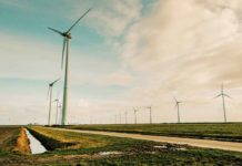 Transizione 5.0 e aree idonee, FREE al Senato: servono chiarimenti subito Rapporto Energia 2025 di Iea Transizione 5.0 aree idonee FREE Senato