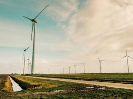 Rapporto Energia 2025 di Iea Transizione 5.0 aree idonee FREE Senato